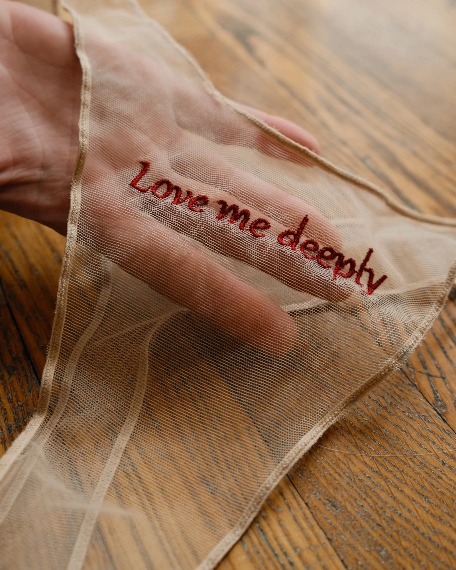 Love Me Deeply embroidery on transparent mesh panties